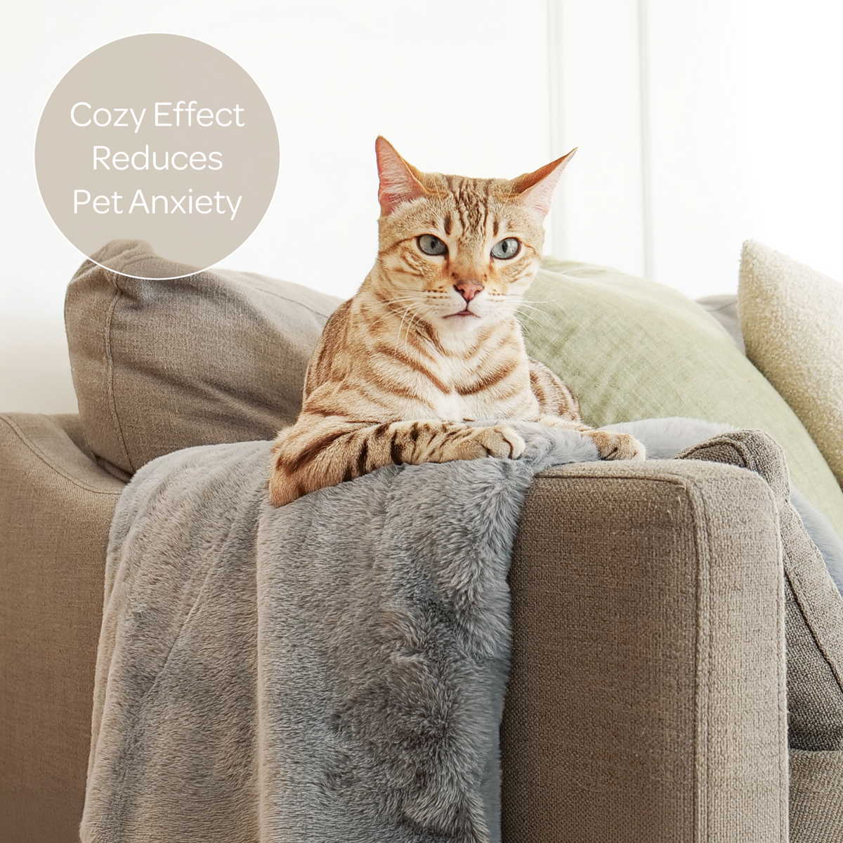 mini pixie throw - 4C&D Home Furnishings