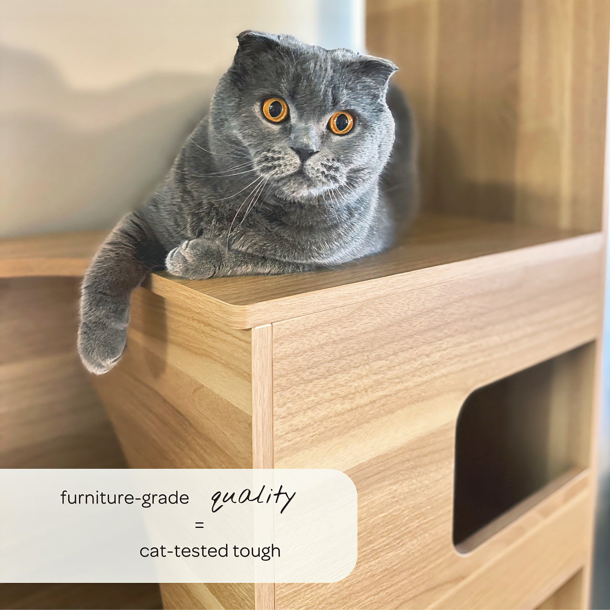 clifford cat tree bookshelf - 4C&D Home Furnishings