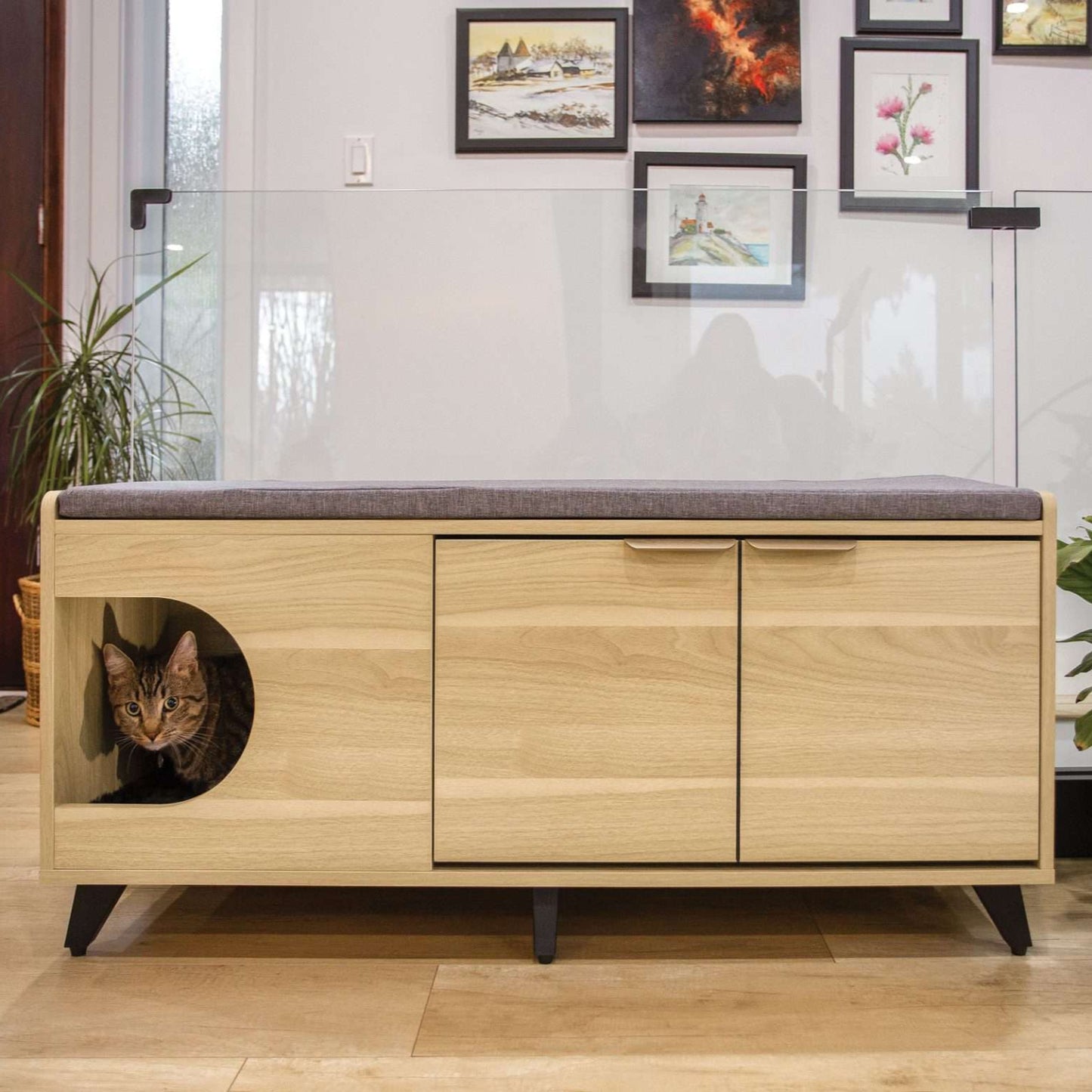 tucker shoe cabinet - 4 Cats & Dogs Home Furnishings Inc