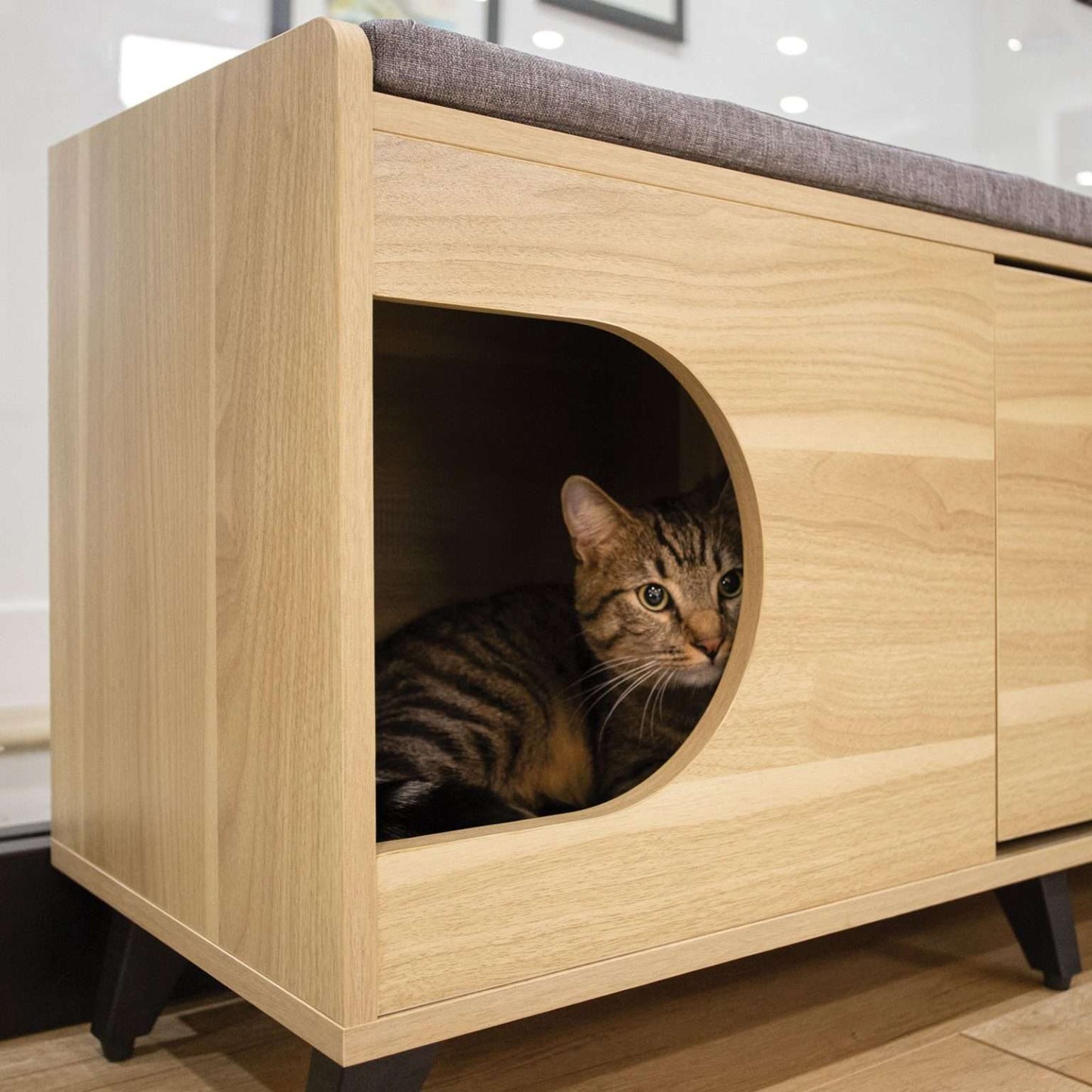 tucker shoe cabinet - 4 Cats & Dogs Home Furnishings Inc