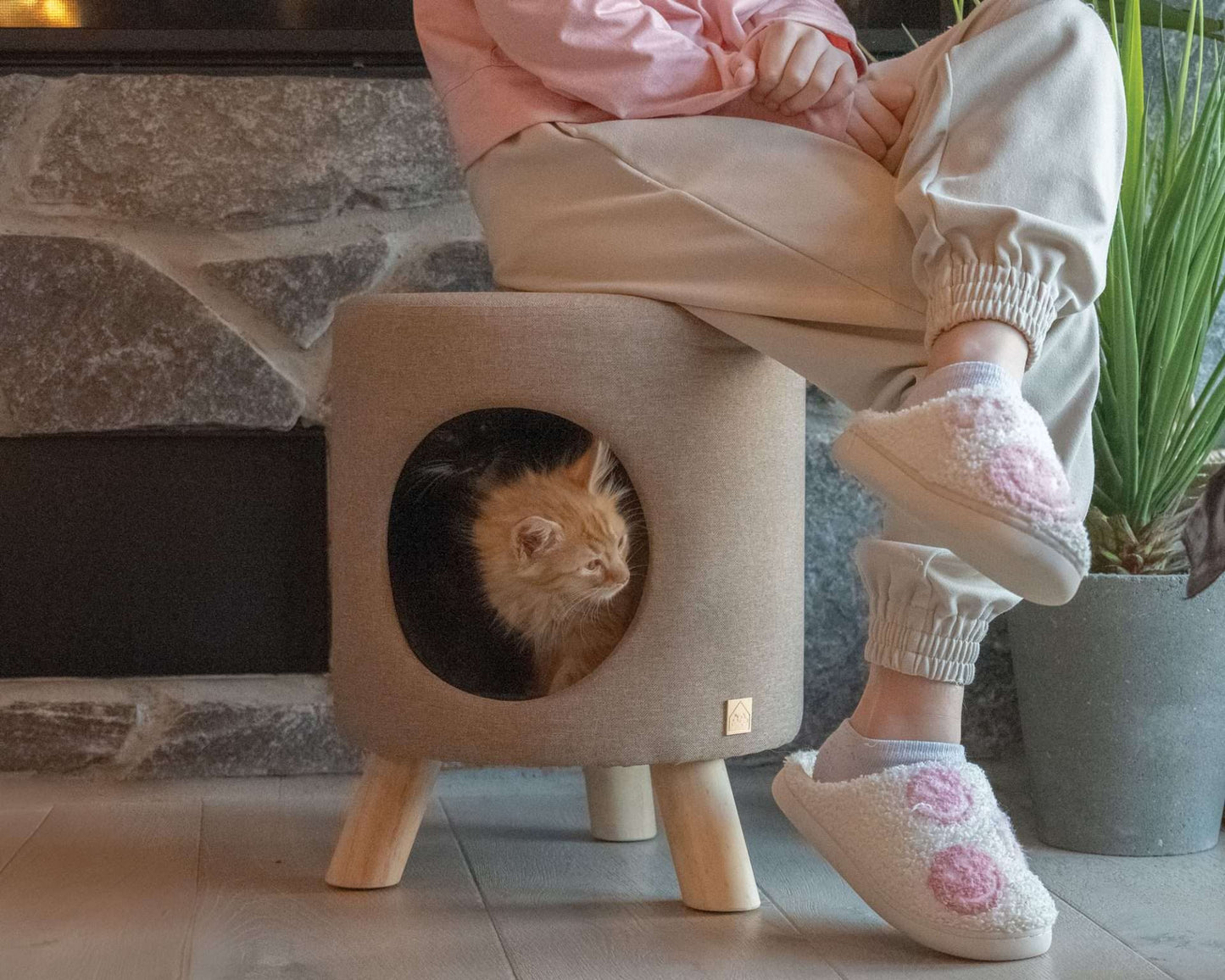 wallie pet stool-4 Cats & Dogs Home Furnishings Inc