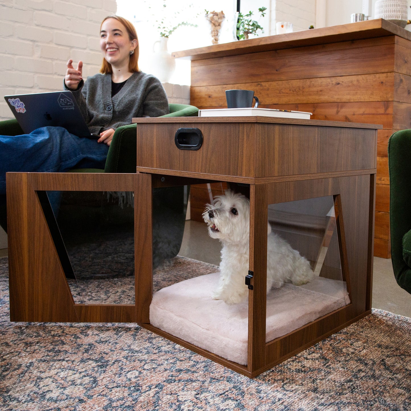 louie pet crate - 4 Cats & Dogs Home Furnishings Inc