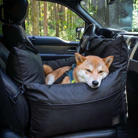 Long Drives and Road Trips: Tips for Keeping Both Your Pet and Yourself Comfortable for the Ride