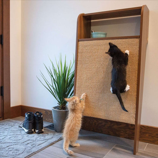 Meet the Wesley Wall Scratcher: Where Function Meets Form