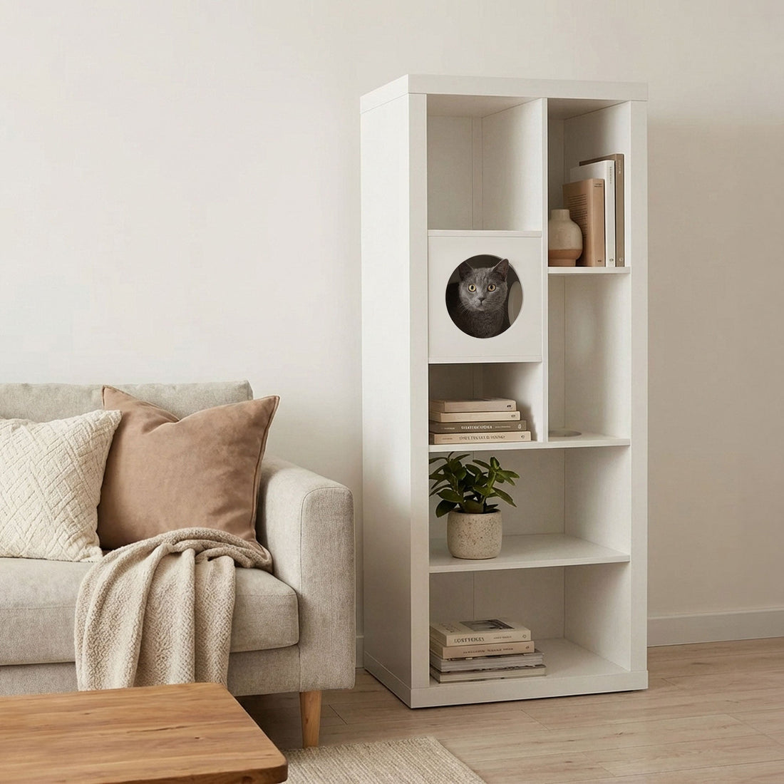 Home Comforts: Making Your Home Cozy for You and Your Pets