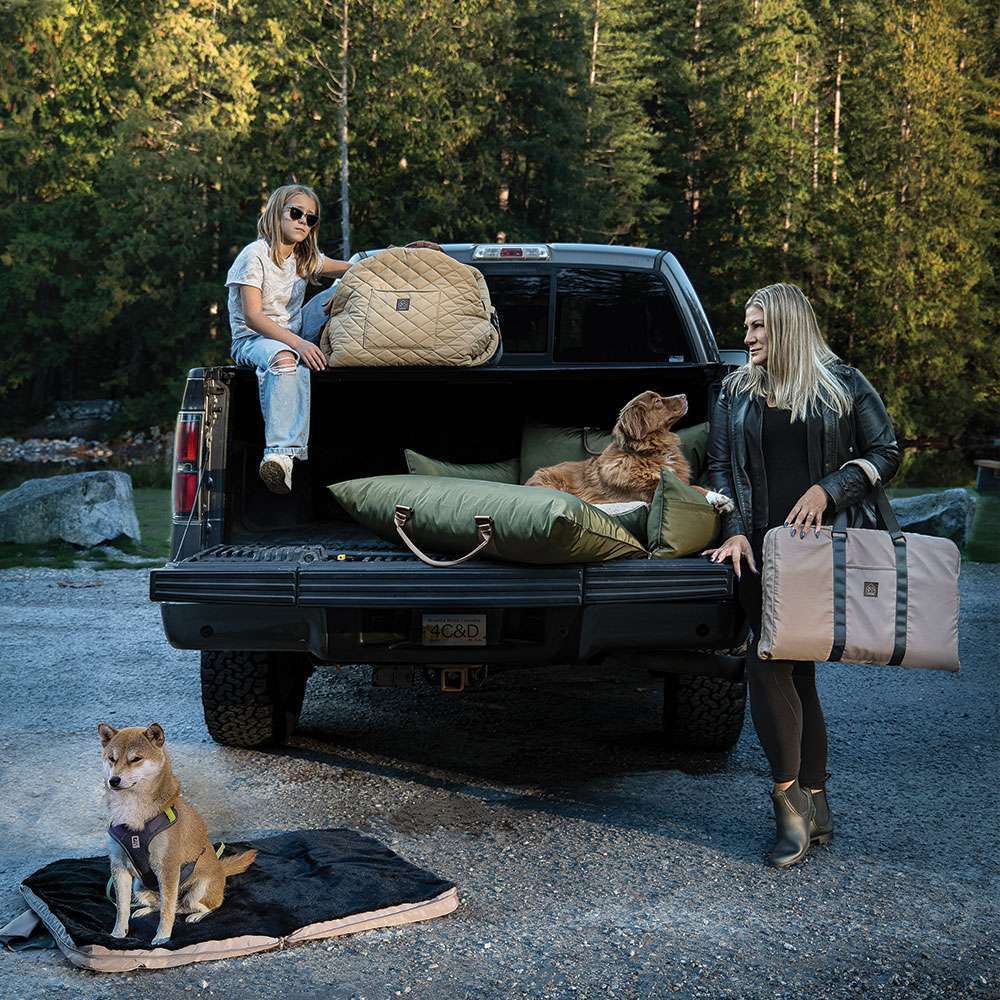pet travel beds