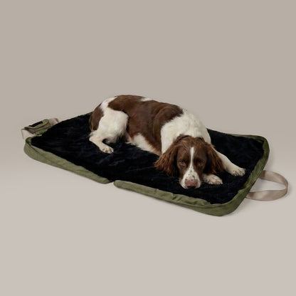 gus travel bed - 4C&D Home Furnishings