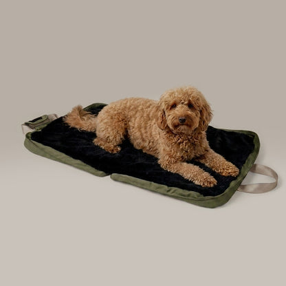 gus travel bed - 4C&D Home Furnishings