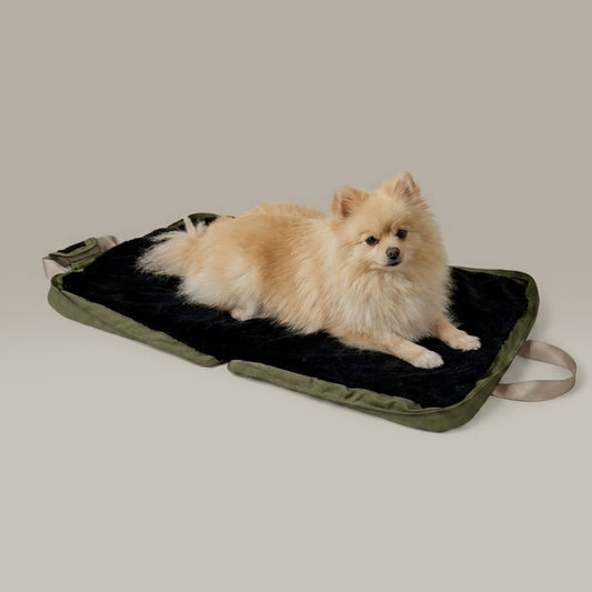 gus travel bed - 4C&D Home Furnishings