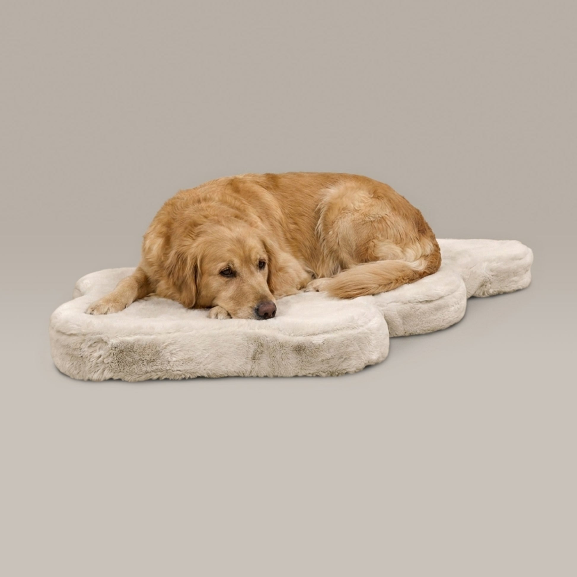 hide shape leakproof dog bed - 4C&D Home Furnishings