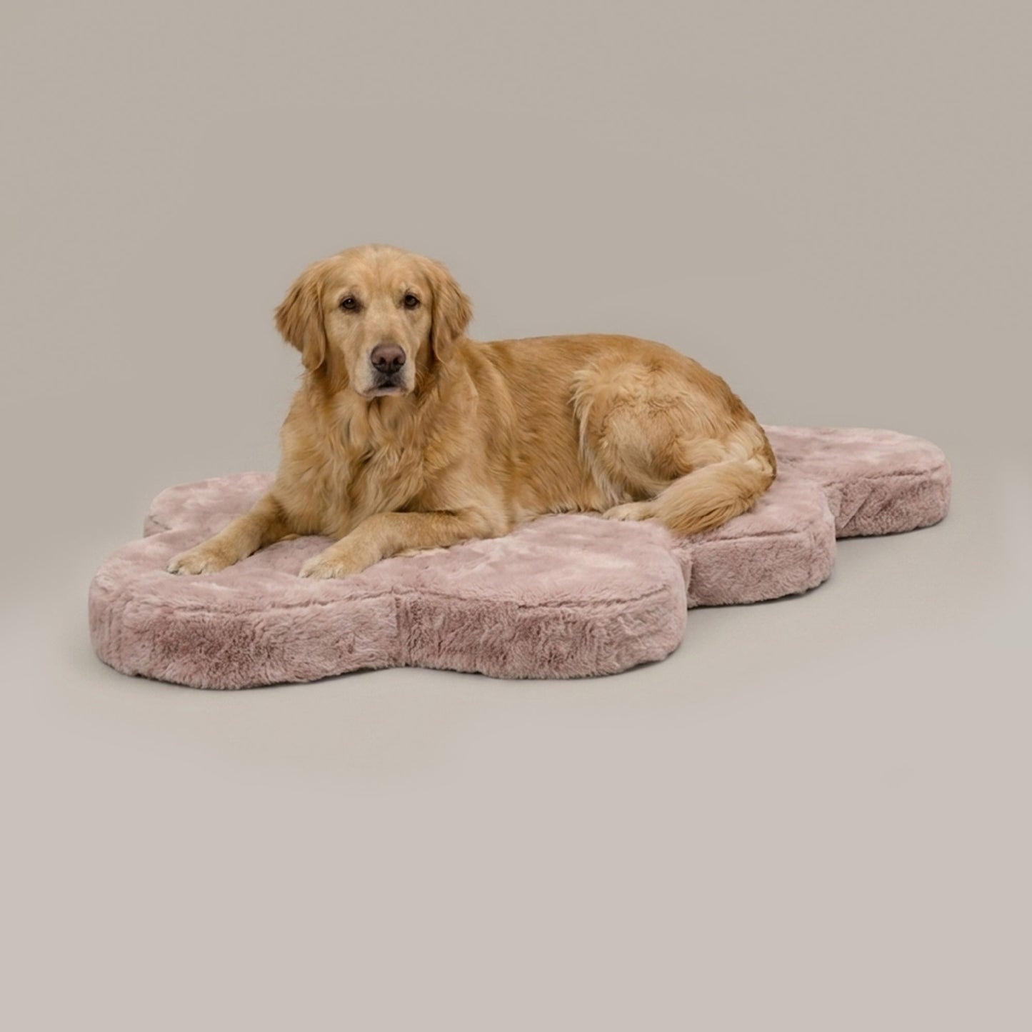 hide shape leakproof dog bed - 4C&D Home Furnishings