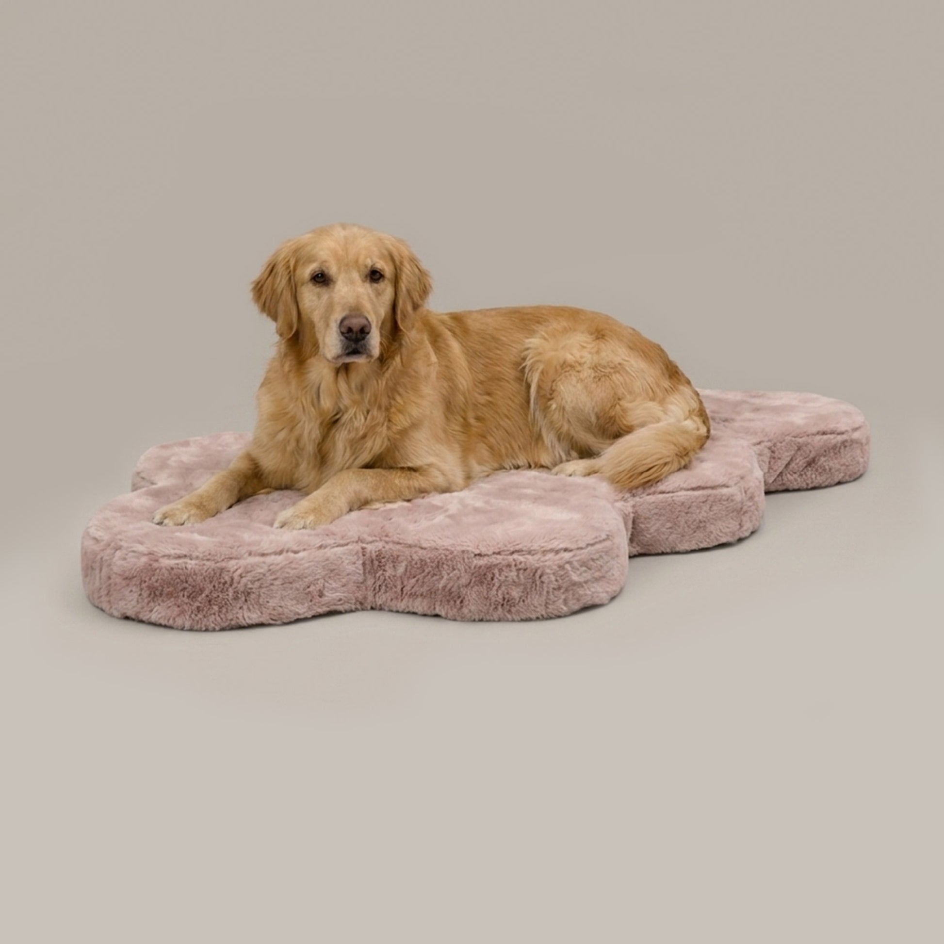 hide shape leakproof dog bed - 4C&D Home Furnishings