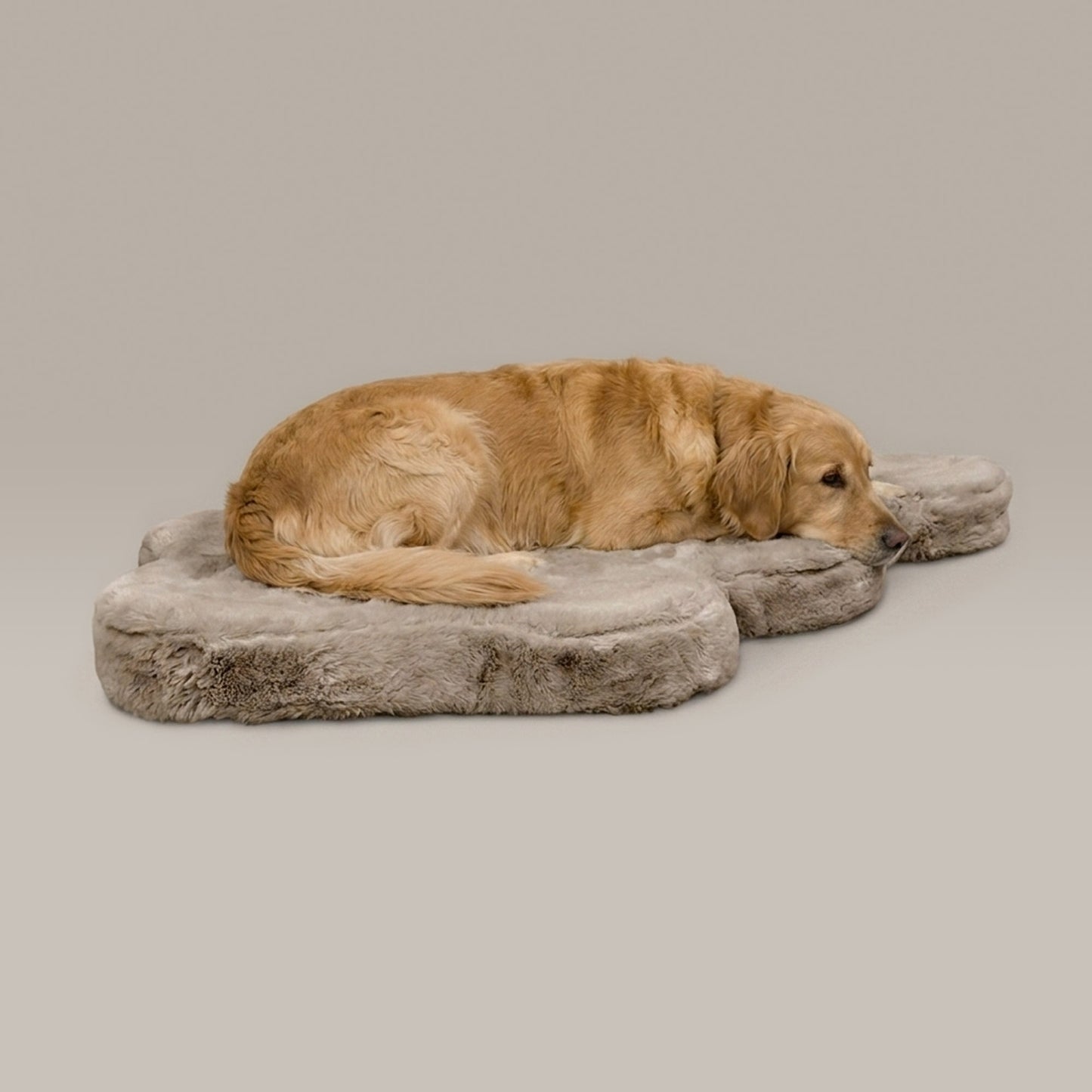 hide shape leakproof dog bed - 4C&D Home Furnishings