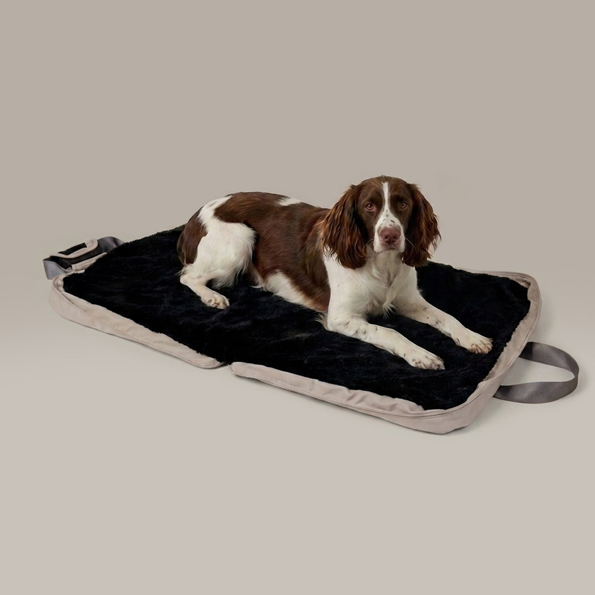 gus travel bed - 4C&D Home Furnishings