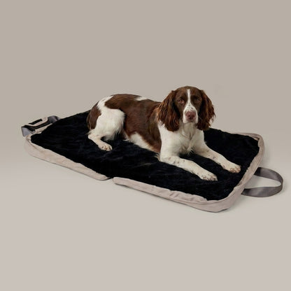 gus travel bed - 4C&D Home Furnishings