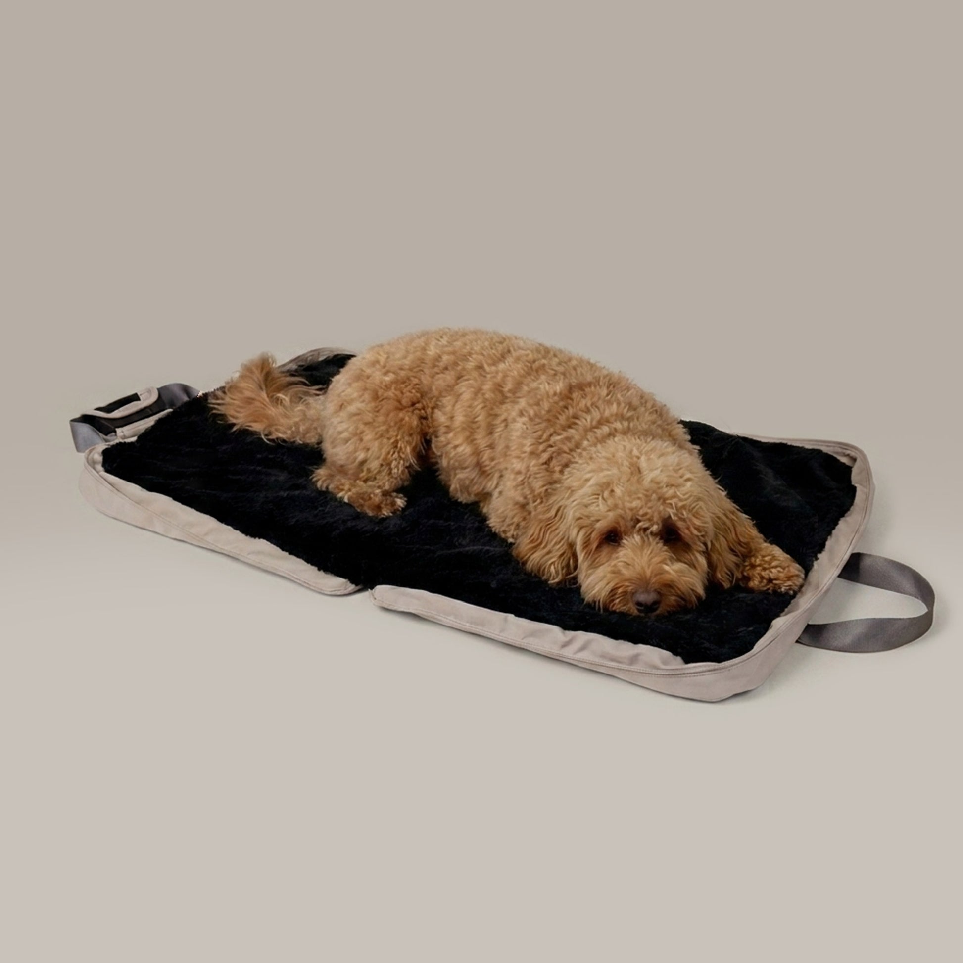 gus travel bed - 4C&D Home Furnishings