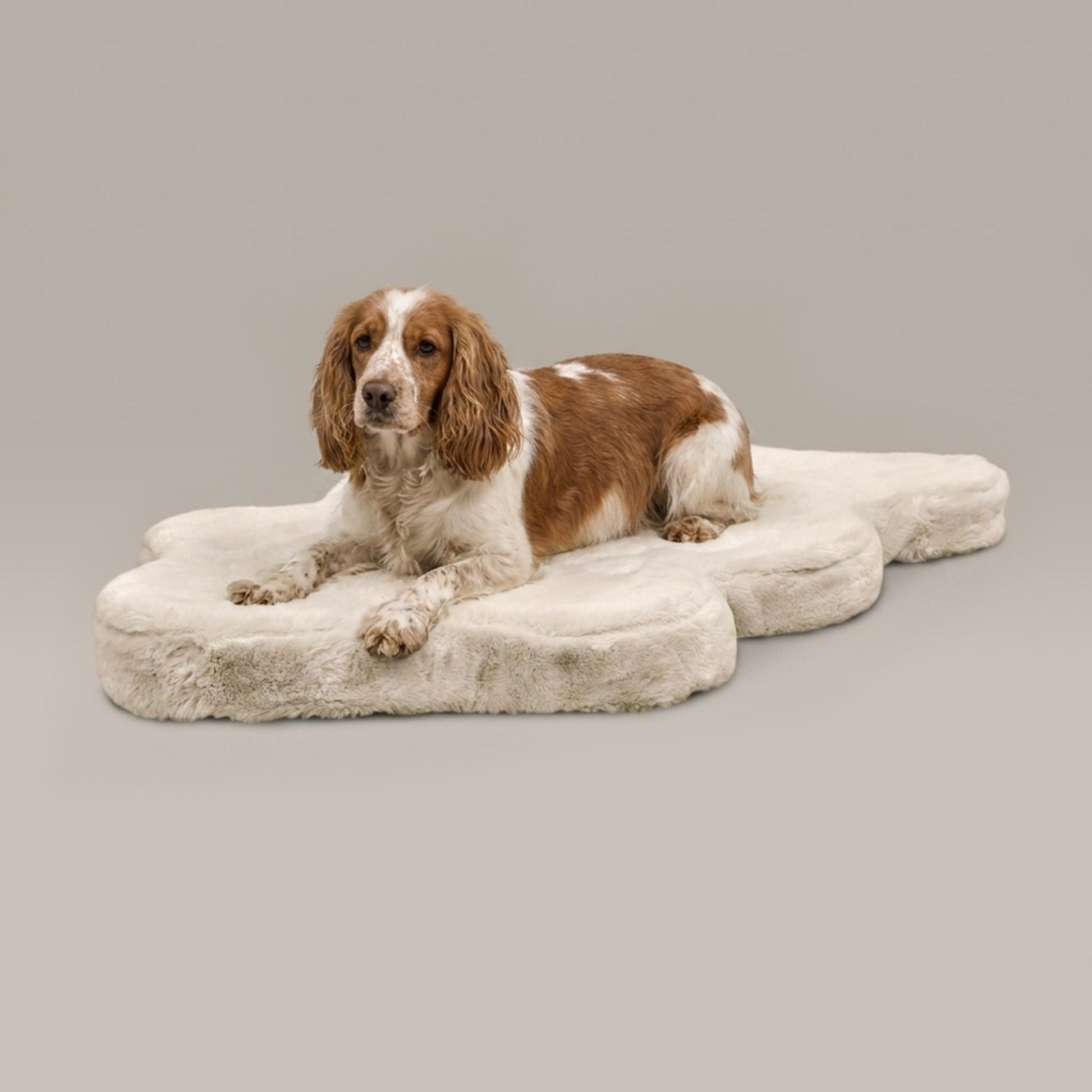 hide shape leakproof dog bed - 4C&D Home Furnishings