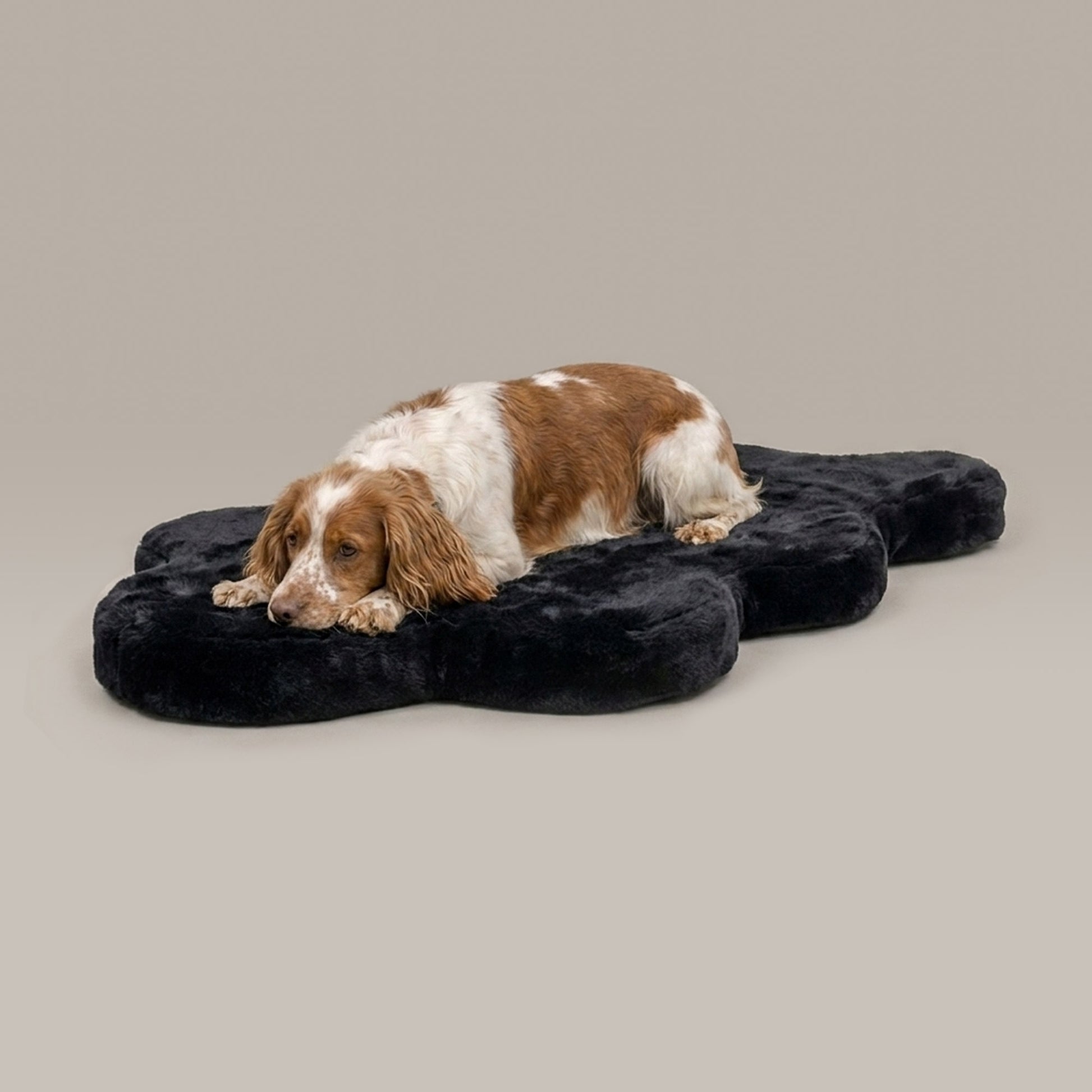 hide shape leakproof dog bed - 4C&D Home Furnishings