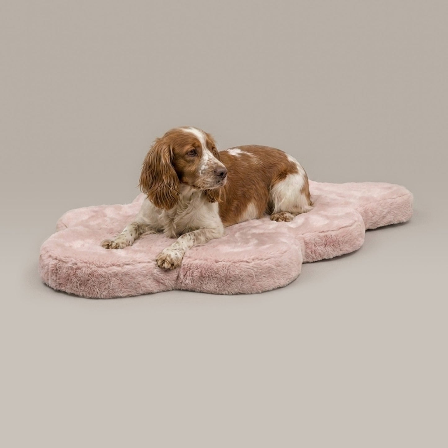 hide shape leakproof dog bed - 4C&D Home Furnishings