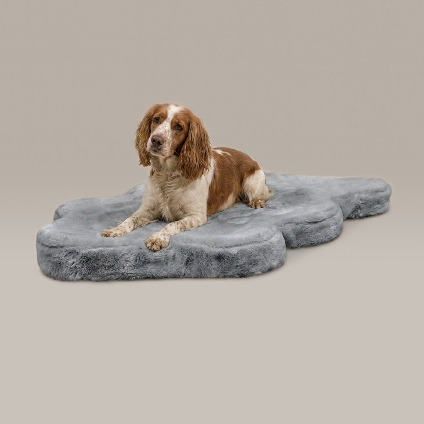 hide shape leakproof dog bed - 4C&D Home Furnishings