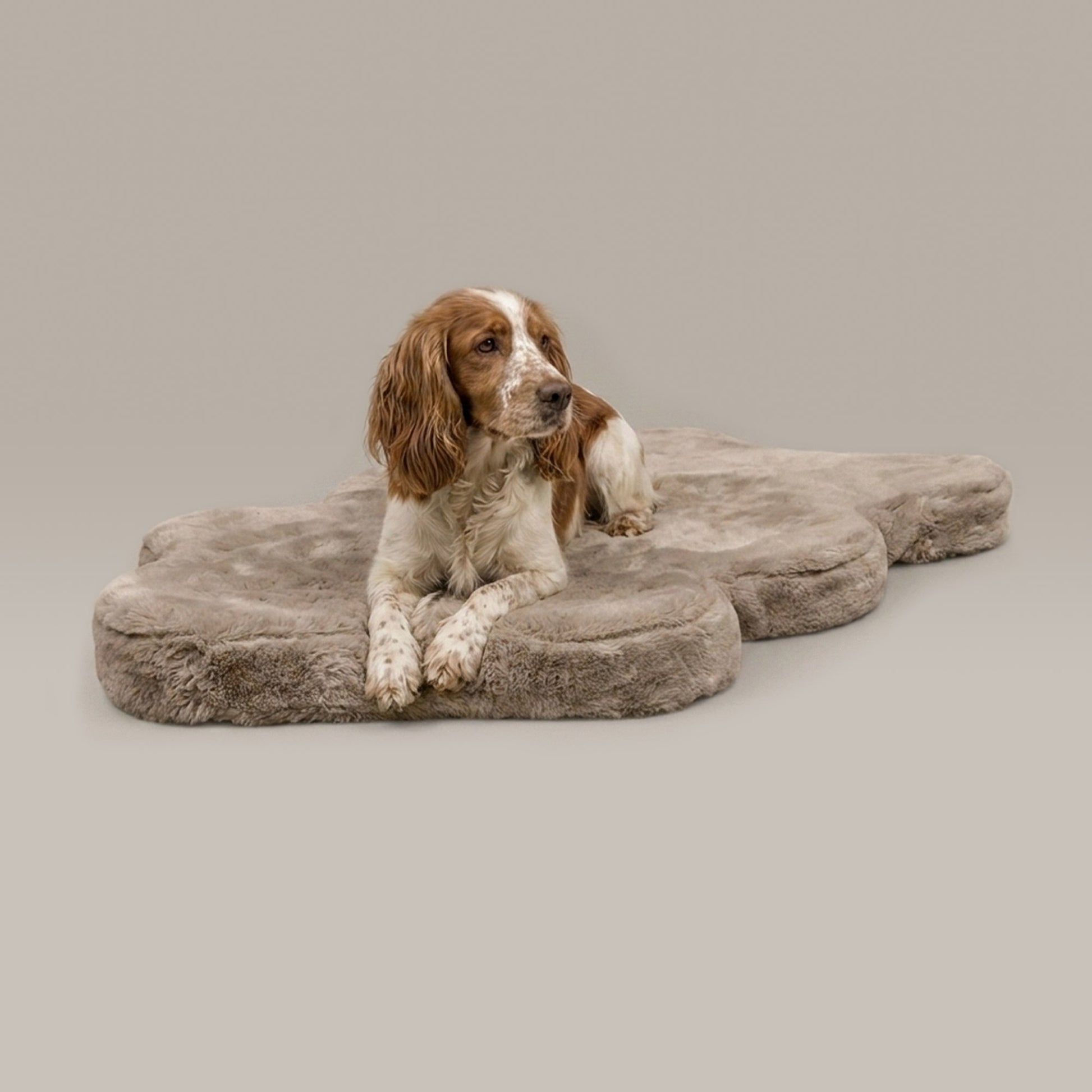 hide shape leakproof dog bed - 4C&D Home Furnishings