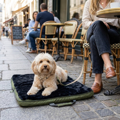 gus travel bed - 4C&D Home Furnishings