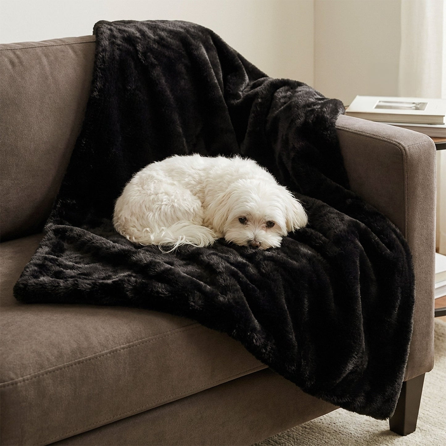 pixie throw - 4C&D Home Furnishings
