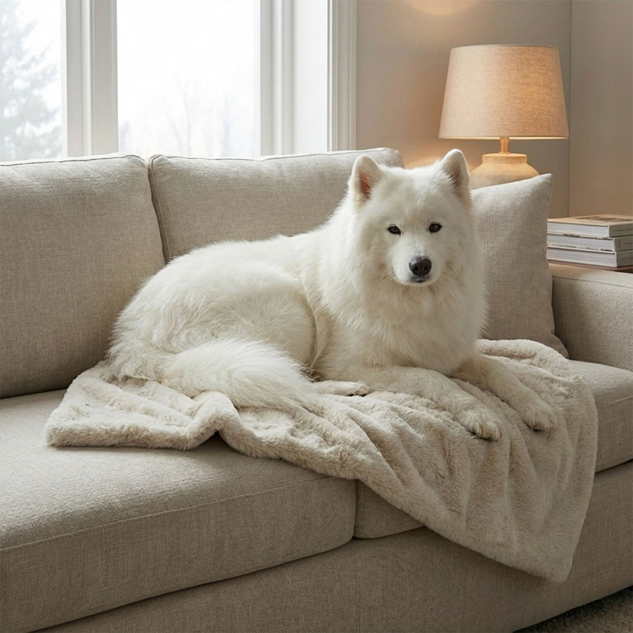 Plush pet throw blanket on sofa with soft faux fur texture
