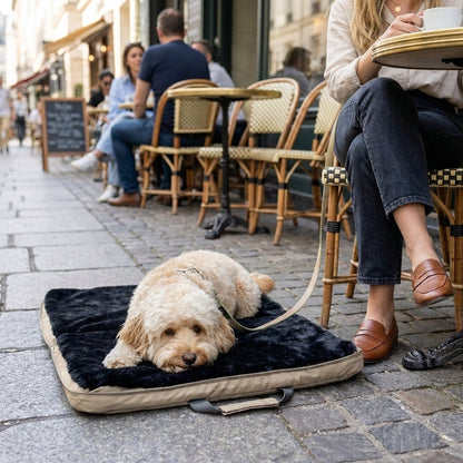 gus travel bed - 4C&D Home Furnishings