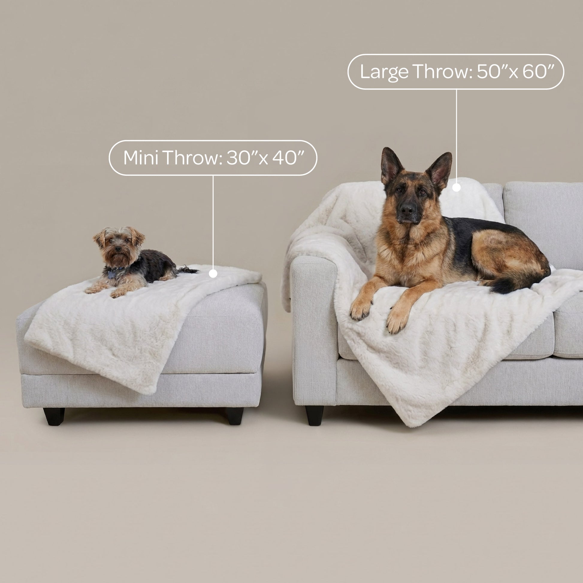 pixie throw - 4C&D Home Furnishings