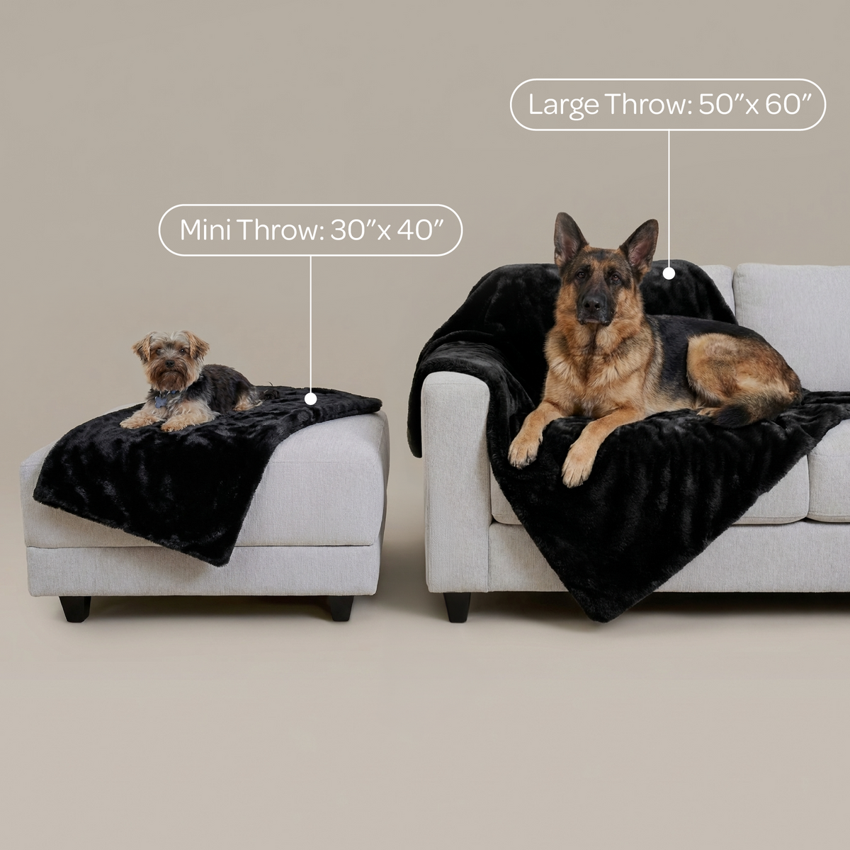 mini pixie throw - 4C&D Home Furnishings