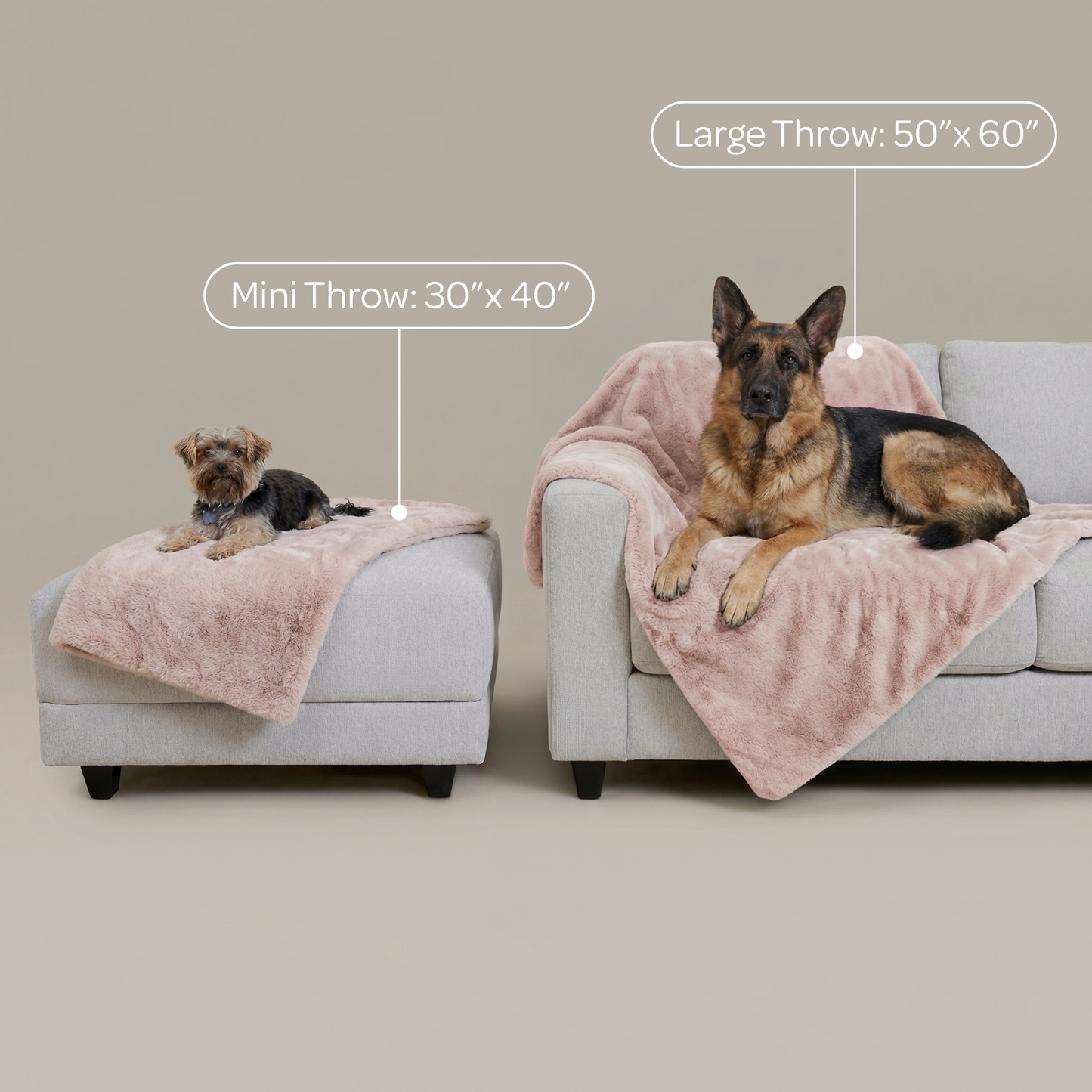 pixie throw - 4C&D Home Furnishings