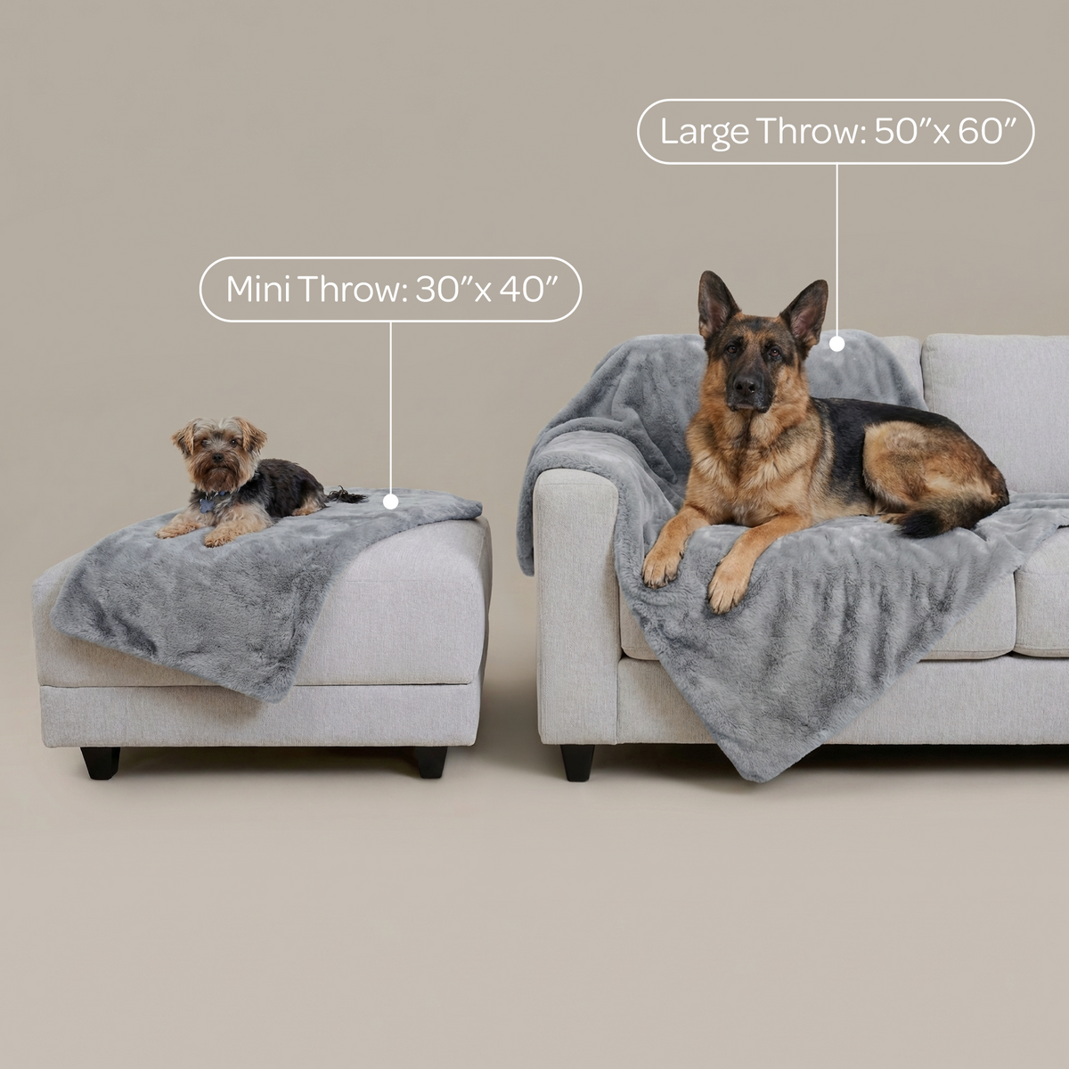 mini pixie throw - 4C&D Home Furnishings