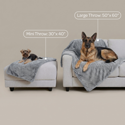 mini pixie throw - 4C&D Home Furnishings