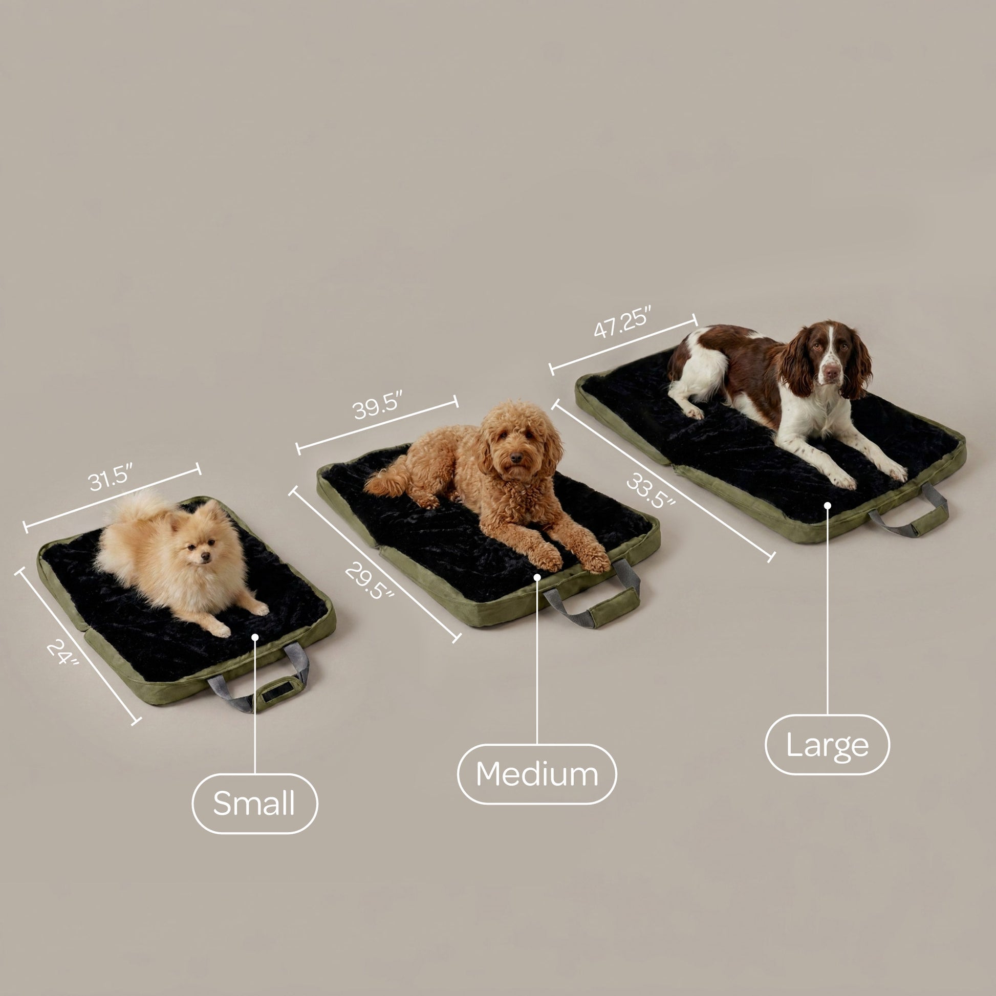 gus travel bed - 4C&D Home Furnishings