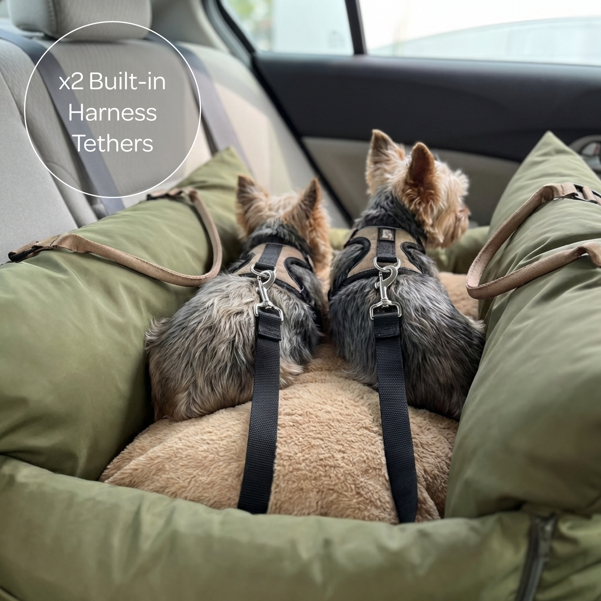 marco XL travel pet bed - 4C&D Home Furnishings