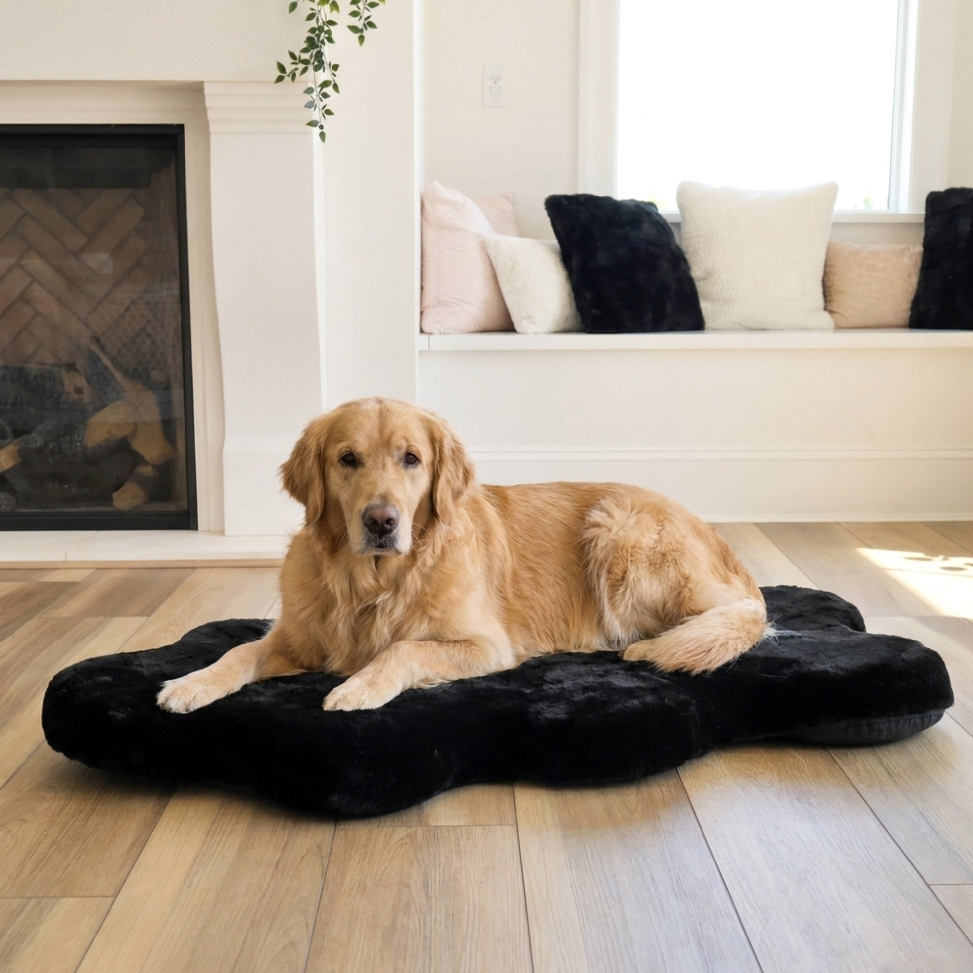 hide shape leakproof dog bed - 4C&D Home Furnishings