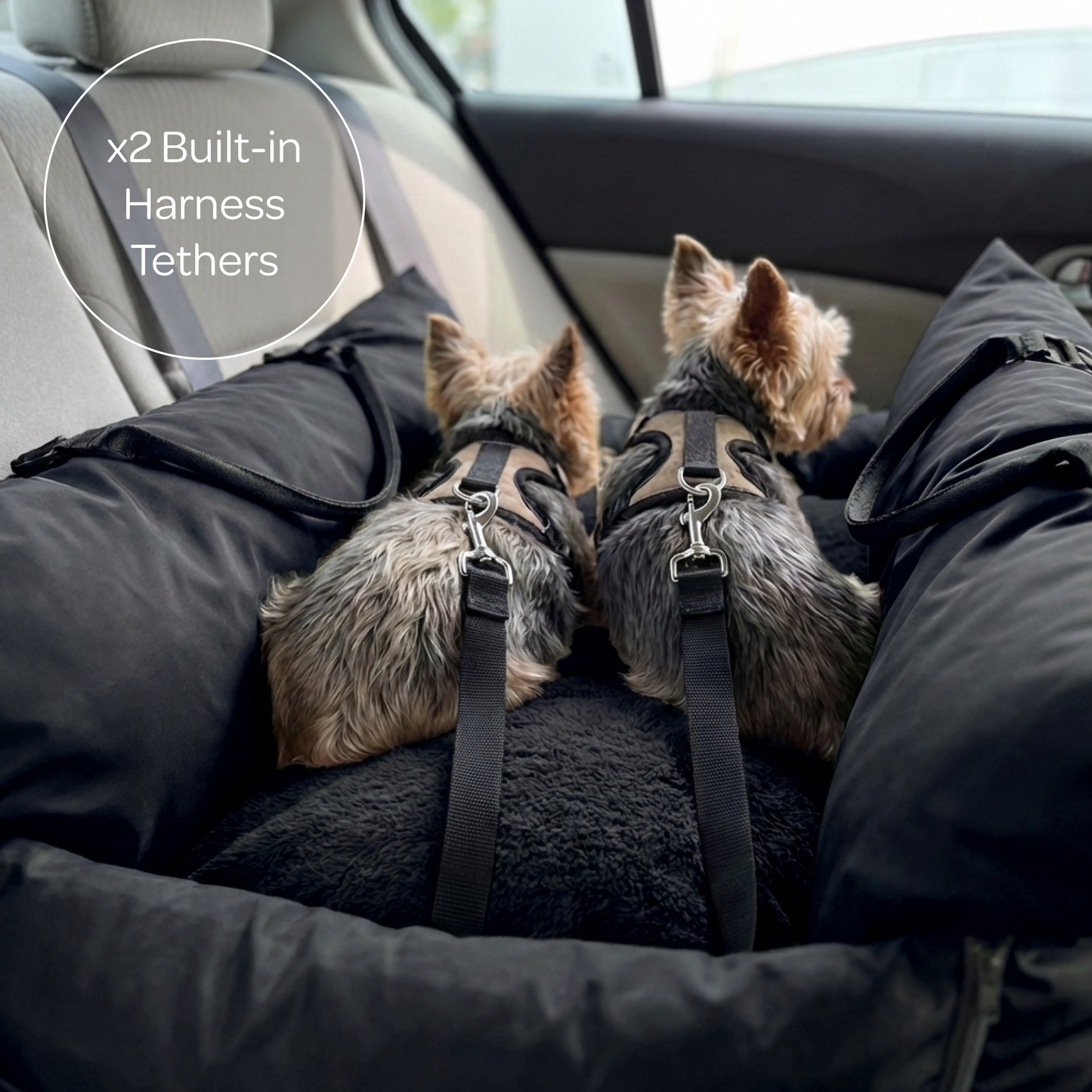 marco XL travel pet bed - 4C&D Home Furnishings