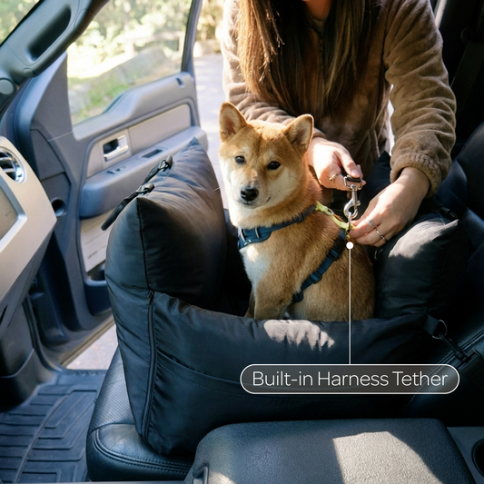 marco travel pet bed - 4C&D Home Furnishings