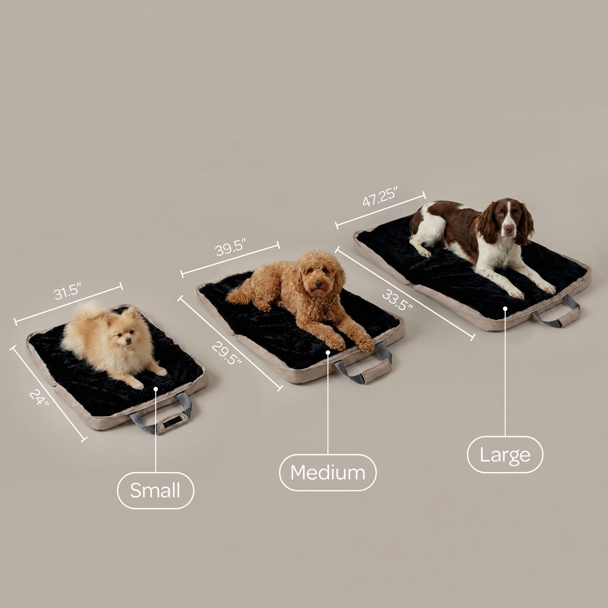 gus travel bed - 4C&D Home Furnishings