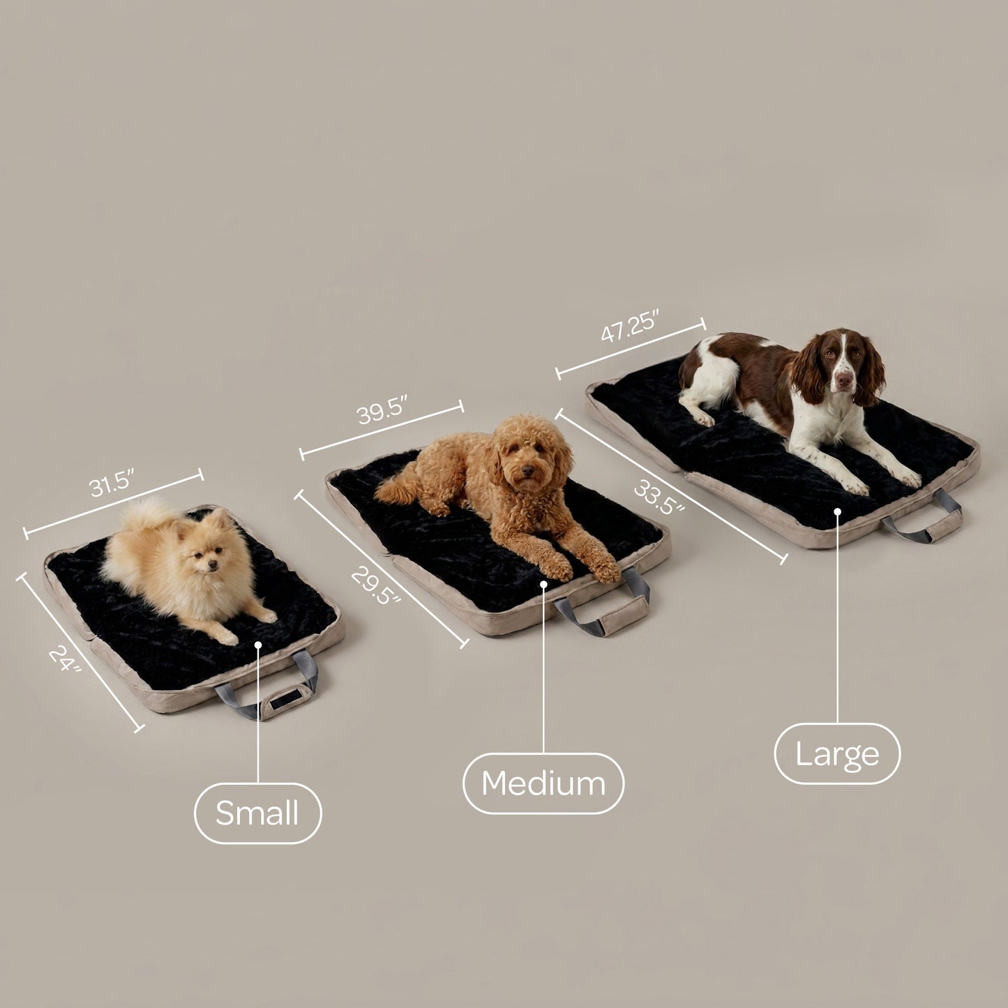 gus travel bed - 4C&D Home Furnishings