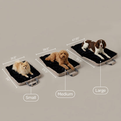 gus travel bed - 4C&D Home Furnishings