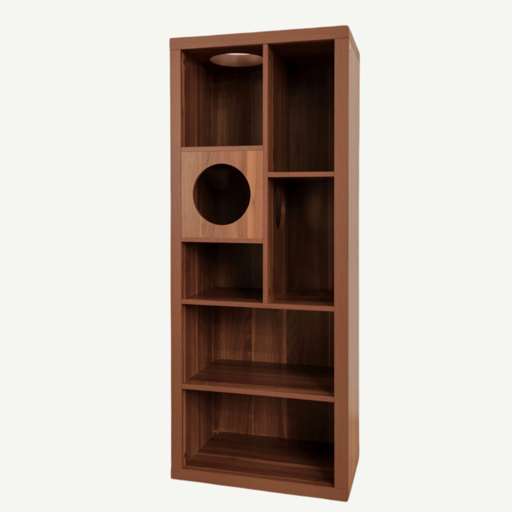Wooden bookshelf with multiple shelves on a white background