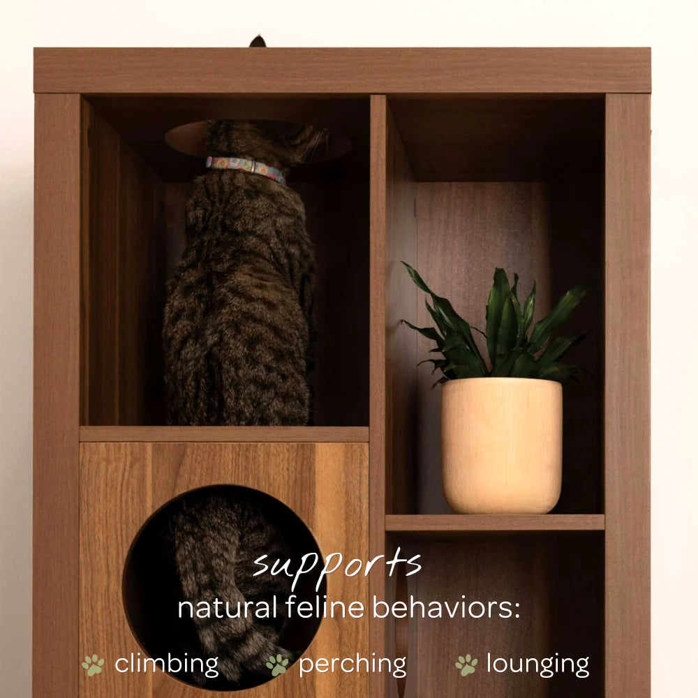 cliff jr.- cat tree bookshelf - 4C&D Home Furnishings
