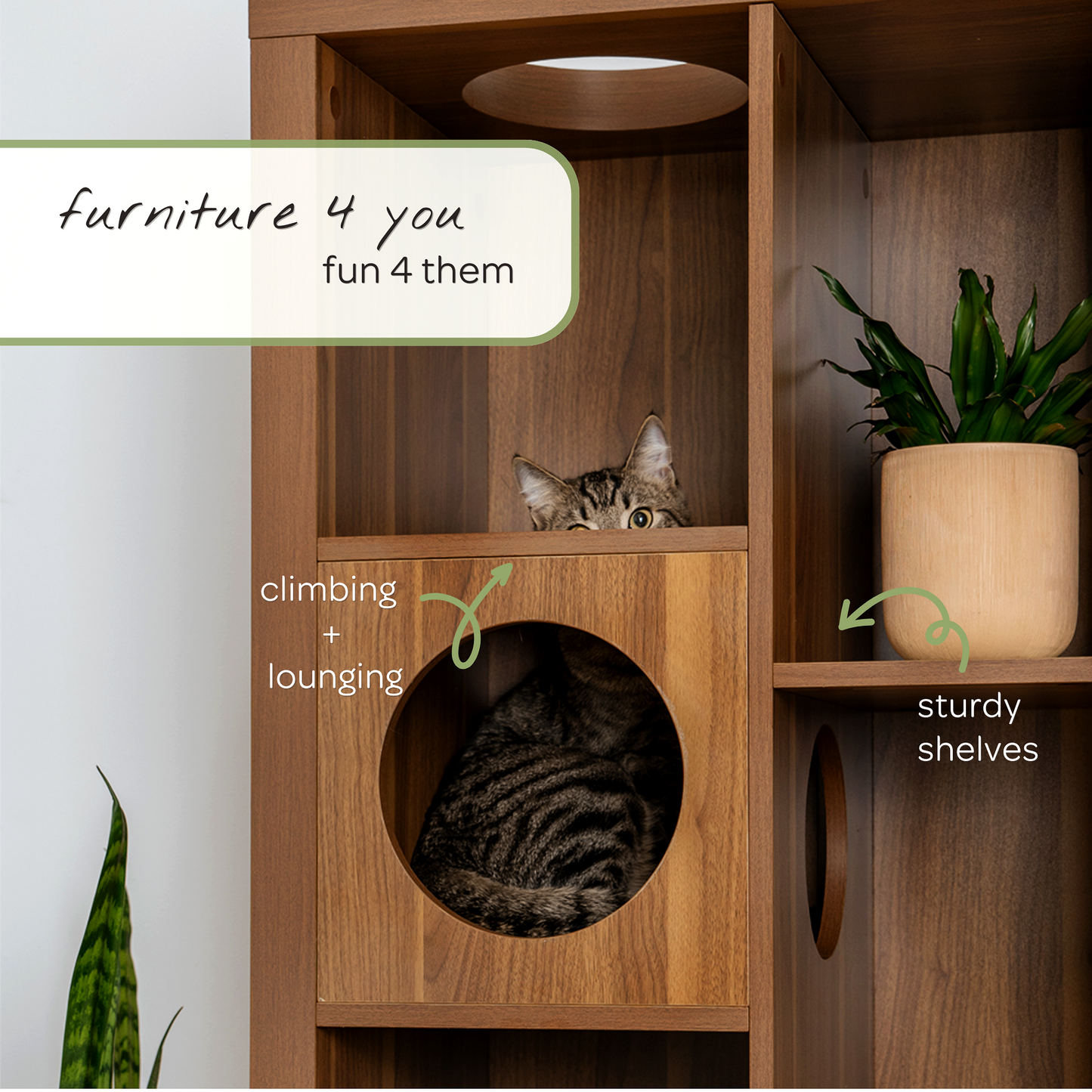 cliff jr.- cat tree bookshelf - 4C&D Home Furnishings