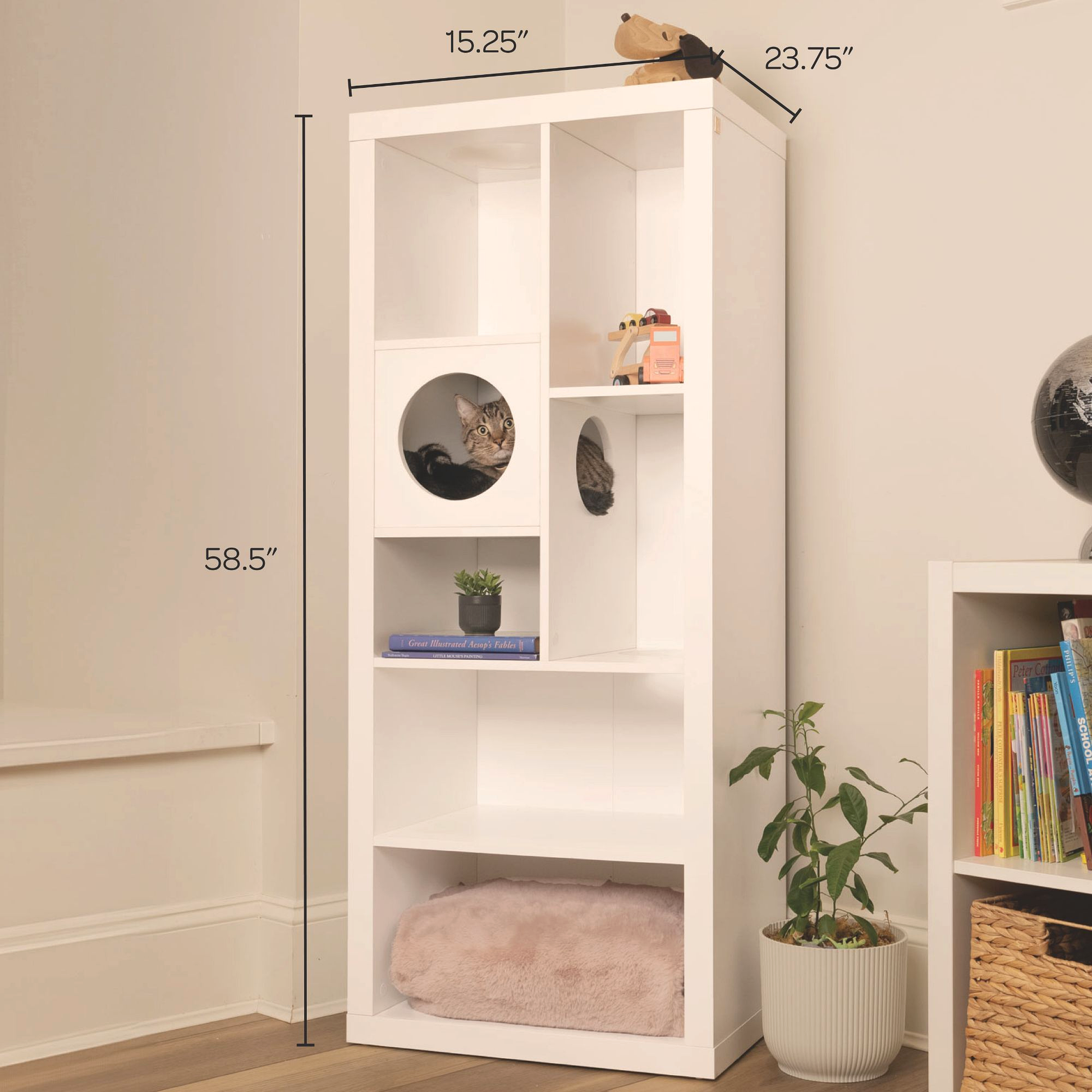 cliff jr.- cat tree bookshelf - 4C&D Home Furnishings