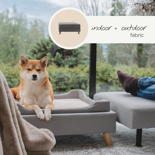 otto pet ottoman - 4C&D Home Furnishings