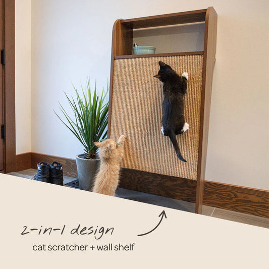 Two cats interacting with a 2-in-1 cat scratcher and wall shelf.