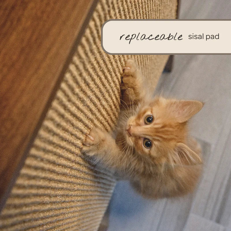 4_Cats_Dogs_Wesley_Wall_Cat_Scratcher_and_Shelf_in_Walnut-4