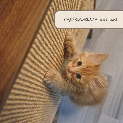 4_Cats_Dogs_Wesley_Wall_Cat_Scratcher_and_Shelf_in_Walnut-4